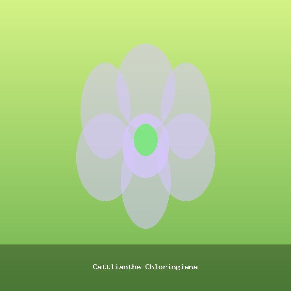 Cattlianthe Chloringiana