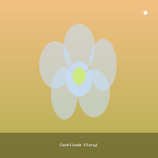 Cochlioda floryi