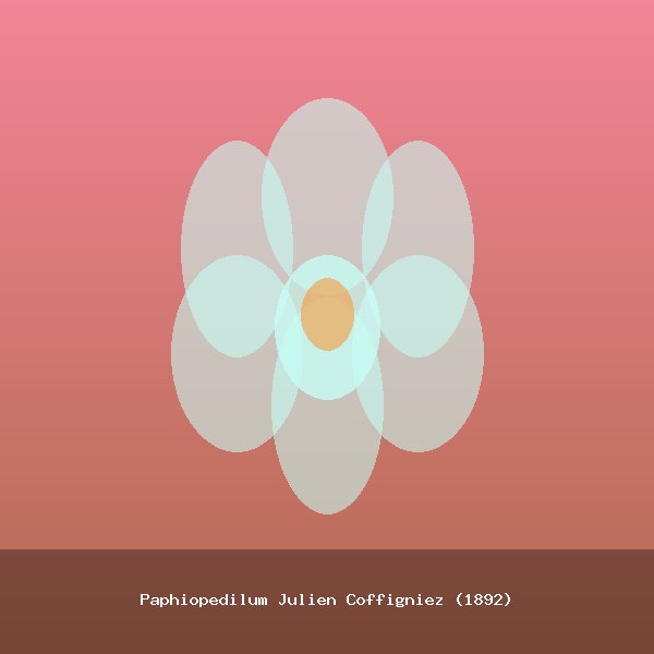 Paphiopedilum Julien Coffigniez (1892)
