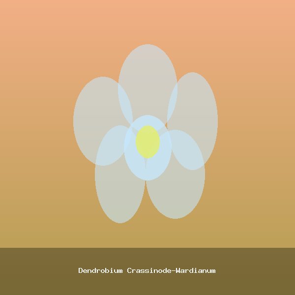 Dendrobium Crassinode-Wardianum