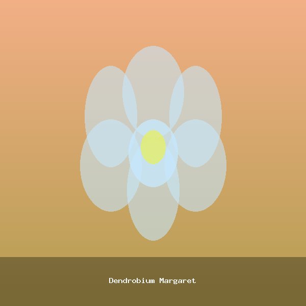 Dendrobium Margaret
