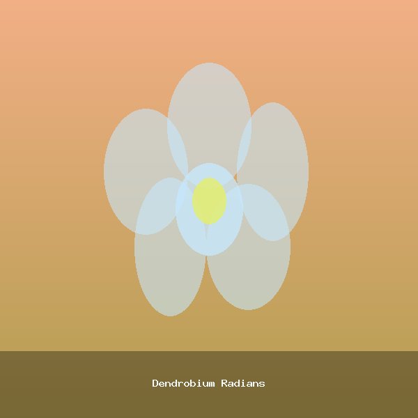Dendrobium Radians