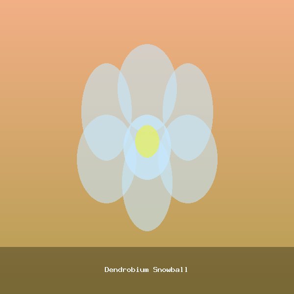 Dendrobium Snowball