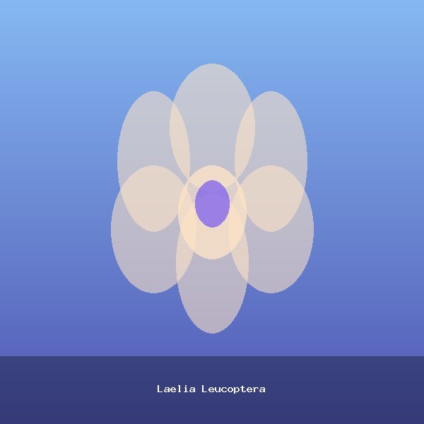 Laelia Leucoptera