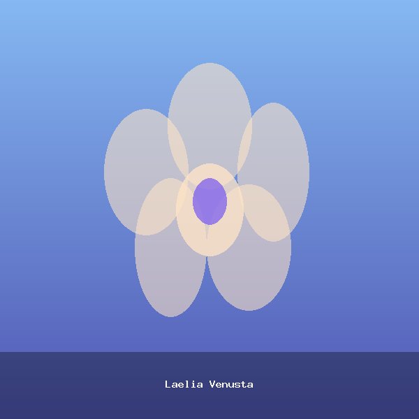 Laelia Venusta