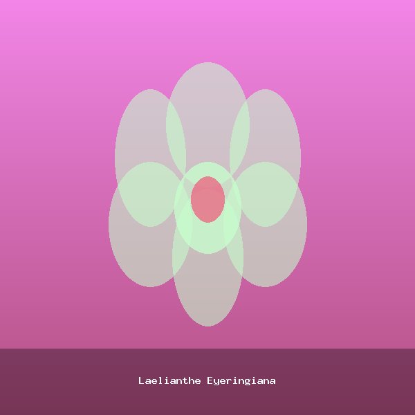 Laelianthe Eyeringiana