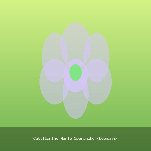 Cattlianthe Marie Speransky (Leemann)