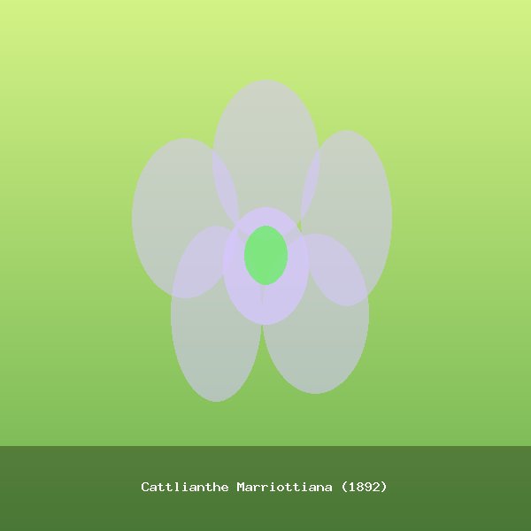 Cattlianthe Marriottiana (1892)
