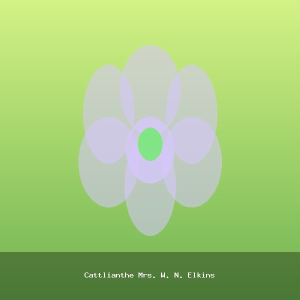 Cattlianthe Mrs. W. N. Elkins