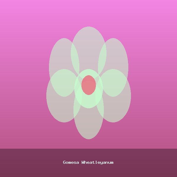Gomesa Wheatleyanum