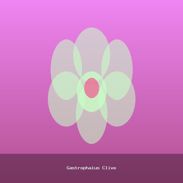 Gastrophaius Clive