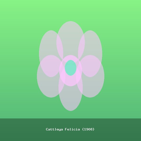 Cattleya Felicia (1908)