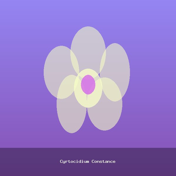 Cyrtocidium Constance