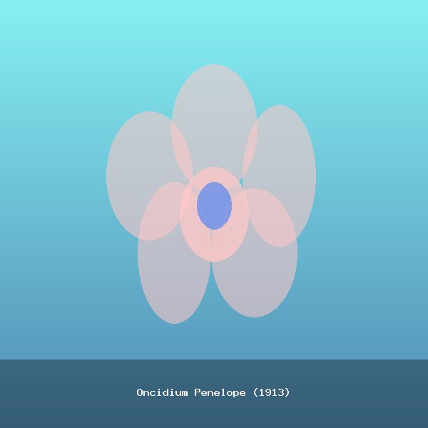 Oncidium Penelope (1913)