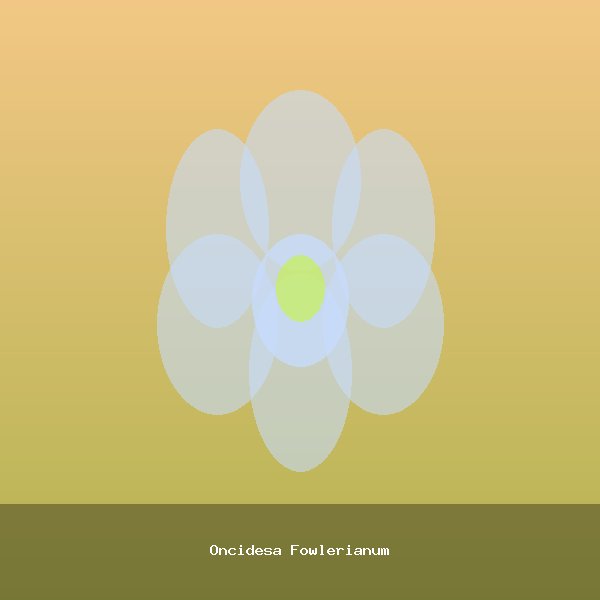 Oncidesa Fowlerianum