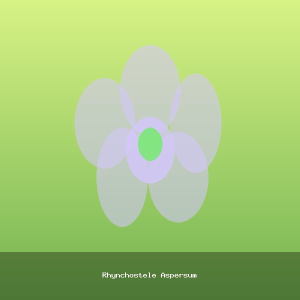 Rhynchostele Aspersum