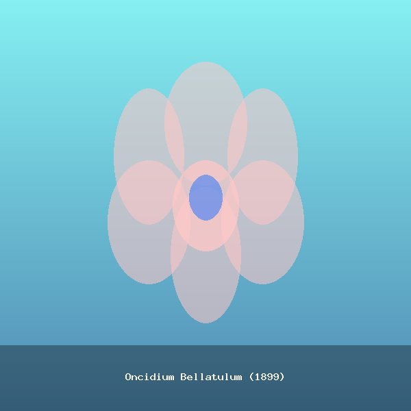 Oncidium Bellatulum (1899)