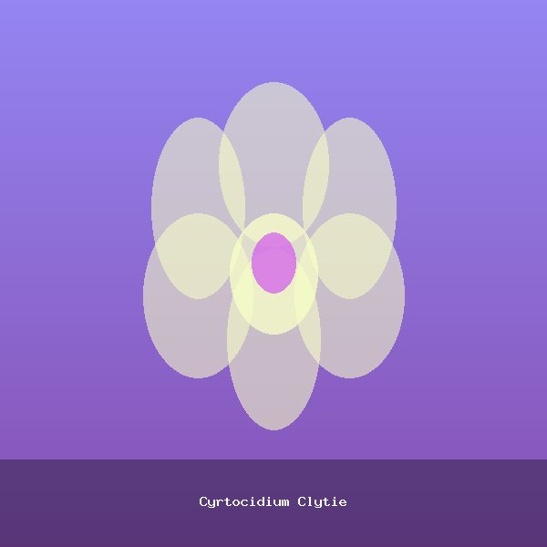 Cyrtocidium Clytie