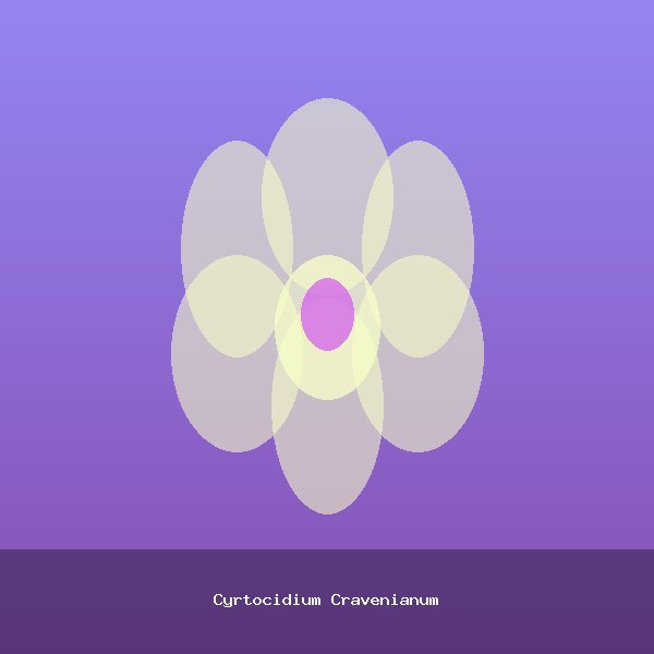 Cyrtocidium Cravenianum