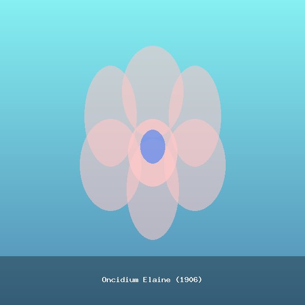 Oncidium Elaine (1906)