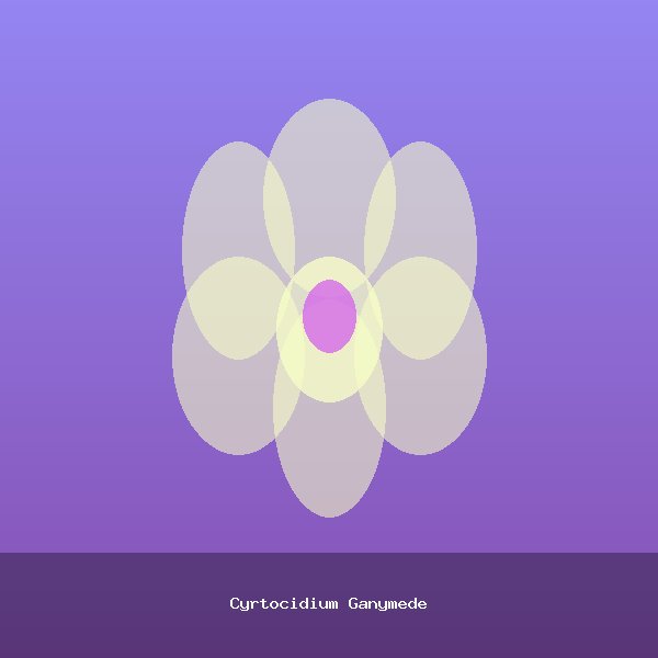 Cyrtocidium Ganymede