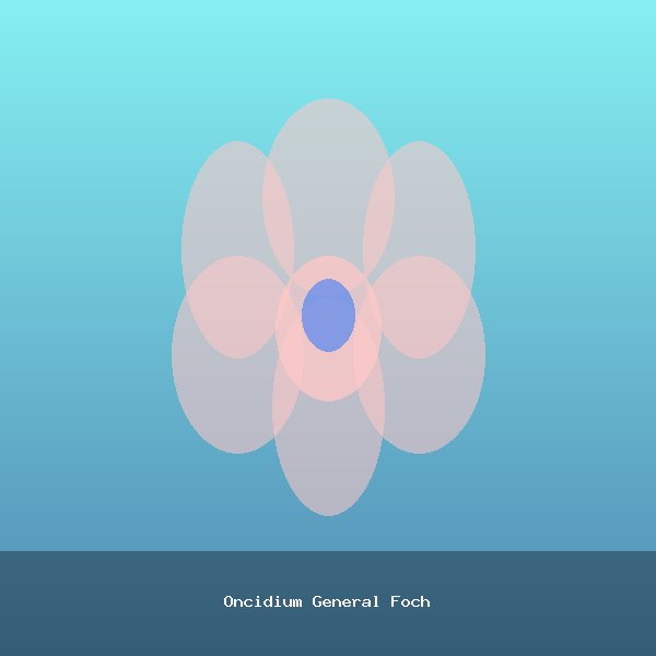 Oncidium General Foch