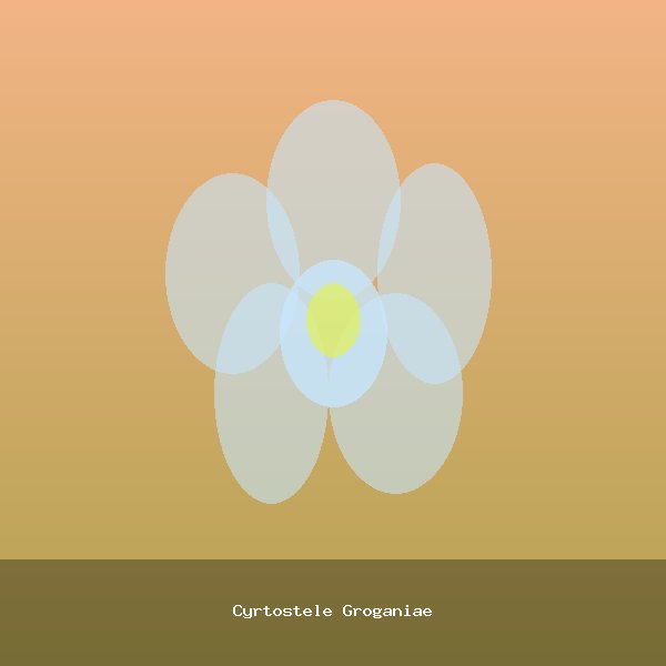 Cyrtostele Groganiae