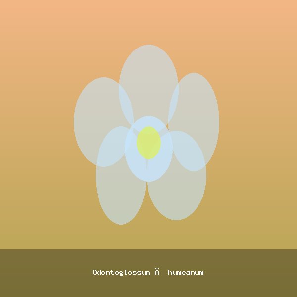Odontoglossum × humeanum