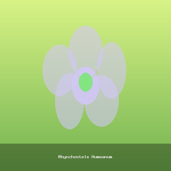 Rhynchostele Humeanum