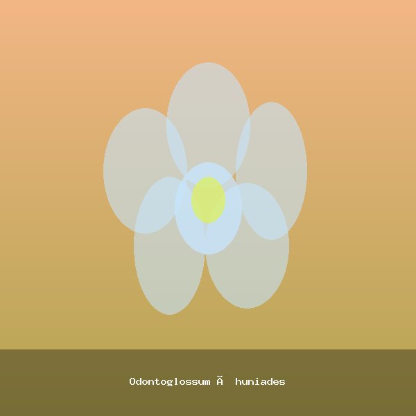 Odontoglossum × huniades