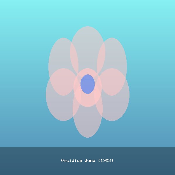 Oncidium Juno (1903)