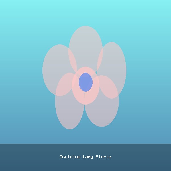 Oncidium Lady Pirrie