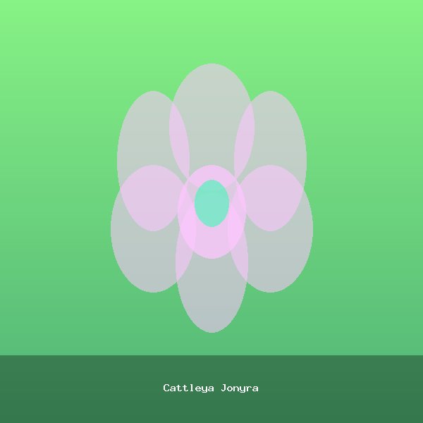 Cattleya Jonyra