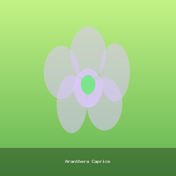 Aranthera Caprice
