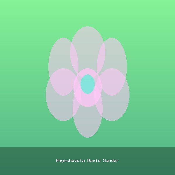 Rhynchovola David Sander