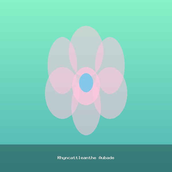 Rhyncattleanthe Aubade