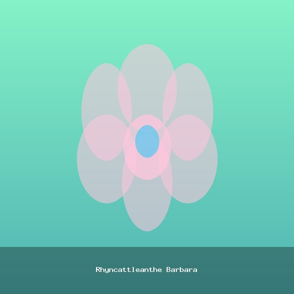 Rhyncattleanthe Barbara