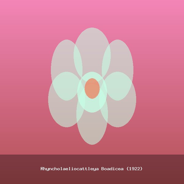 Rhyncholaeliocattleya Boadicea (1922)