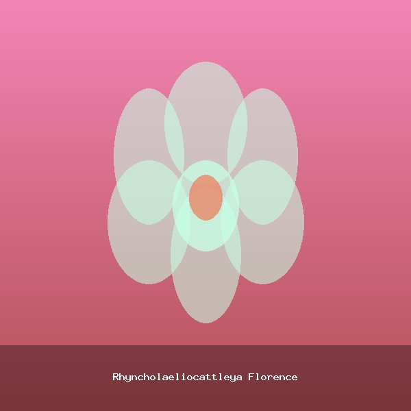 Rhyncholaeliocattleya Florence