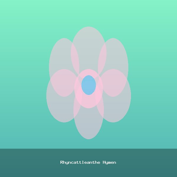Rhyncattleanthe Hymen