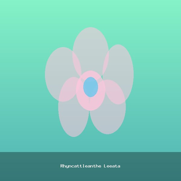Rhyncattleanthe Leeata