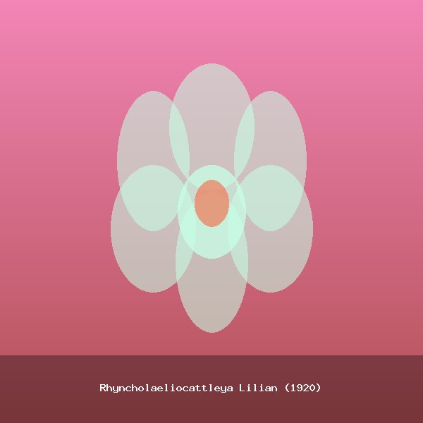 Rhyncholaeliocattleya Lilian (1920)