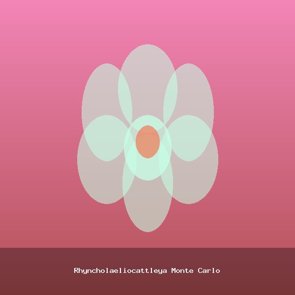Rhyncholaeliocattleya Monte Carlo