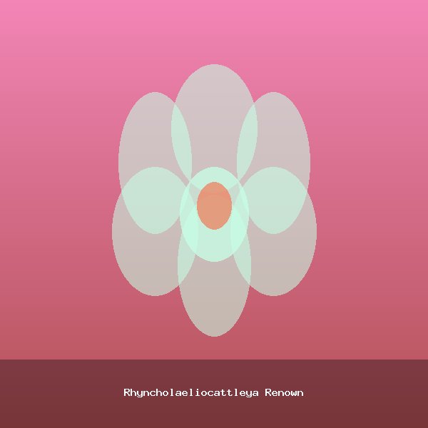 Rhyncholaeliocattleya Renown