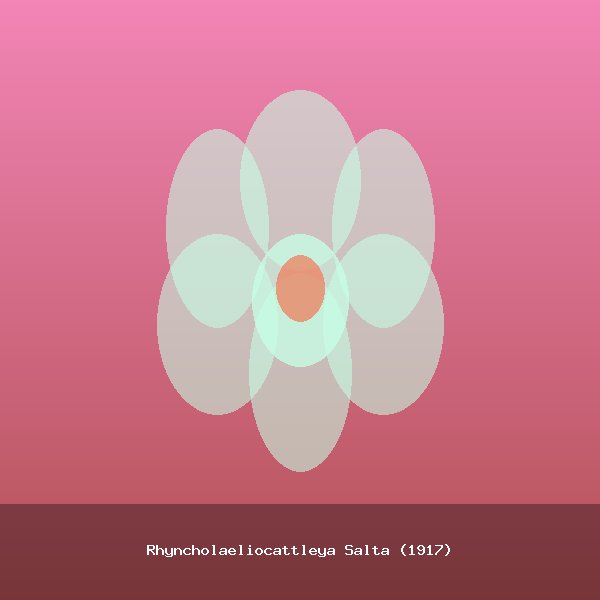 Rhyncholaeliocattleya Salta (1917)