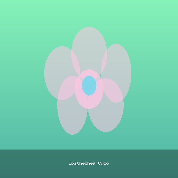 Epithechea Cuco