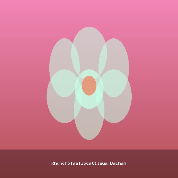 Rhyncholaeliocattleya Balham