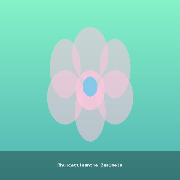 Rhyncattleanthe Basimela