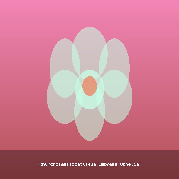 Rhyncholaeliocattleya Empress Ophelia