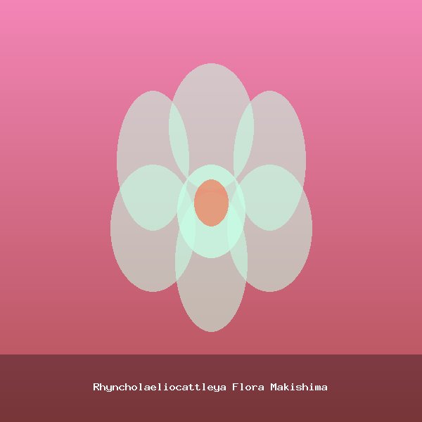 Rhyncholaeliocattleya Flora Makishima